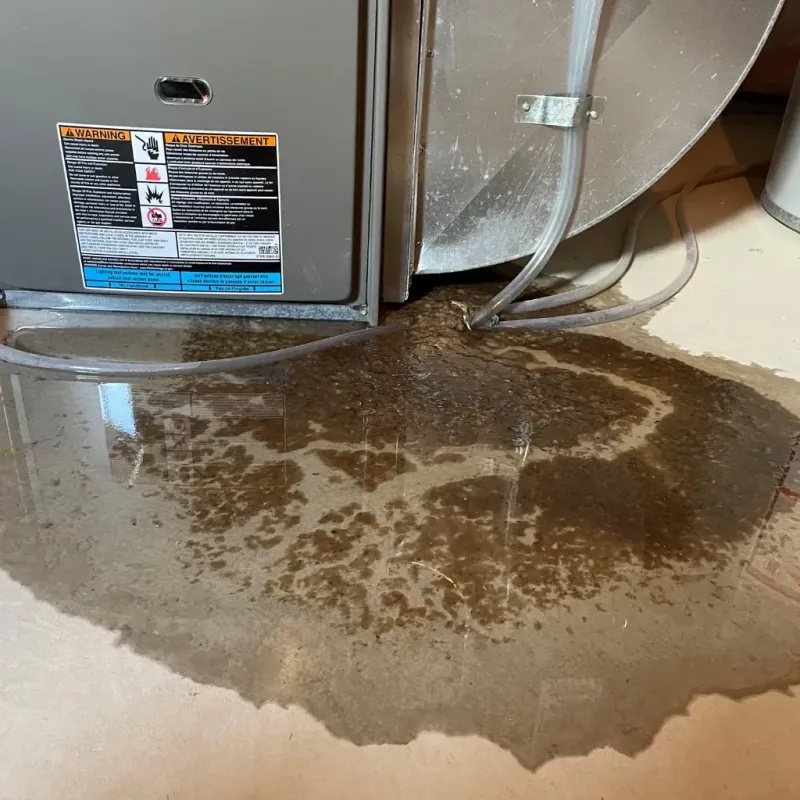 Appliance Leak Cleanup in Springville, AL